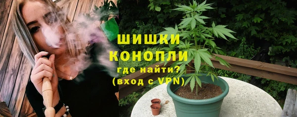 ПСИЛОЦИБИНОВЫЕ ГРИБЫ Корсаков
