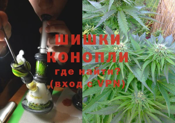 ПСИЛОЦИБИНОВЫЕ ГРИБЫ Корсаков