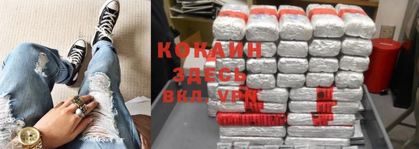ПСИЛОЦИБИНОВЫЕ ГРИБЫ Корсаков
