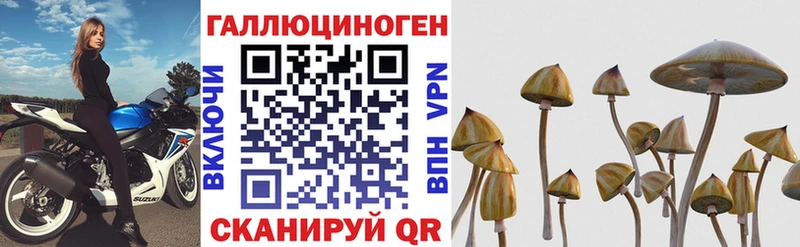 Купить закладки Избербаш Псилоцибиновые грибы прущие грибы